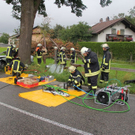 normal_23072011wtsoldatgegenbaumaktivnews8.jpg