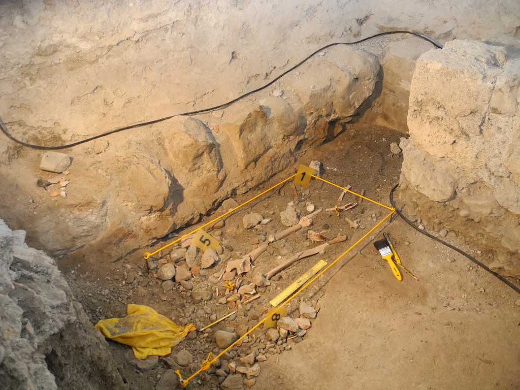 DSCN0555_JPG-1311413683