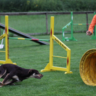 IMG_9830_jpg-1311419857