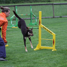 IMG_9838_jpg-1311419876