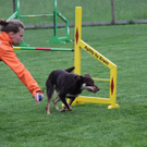 IMG_9839_jpg-1311419893