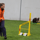 IMG_9903_jpg-1311419932