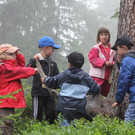 Zu Besuch im Bergwald
