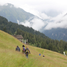 IMG_5672 _Kopie__jpg-1311450331