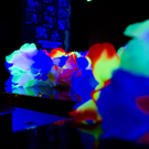 069_JPG-1311473269.jpg