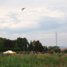IMG_6099_1_1.JPG