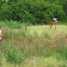 IMG_6221_1_1.JPG