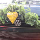IMG_9429_JPG-1311498432
