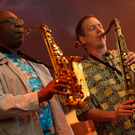 MANU DIBANGO - THE NOVA JAZZ _ BLUES NIGHTS - florian wieser-20.jpg