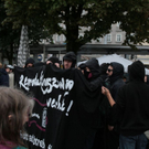 normal_24072011Abtriebungsgegnerdemosbgpm29.jpg