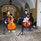 normal_24072011fmt_musicircus_mw_09.jpg