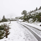 Sommer 2011: Schnee STMK