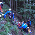 Berge__bung Tisner Wald.jpg