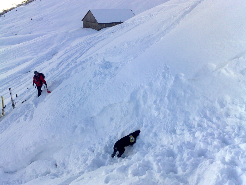 Gebietsstellen Winterkurs Latern.jpg