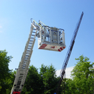 111_7561_JPG-1311595869