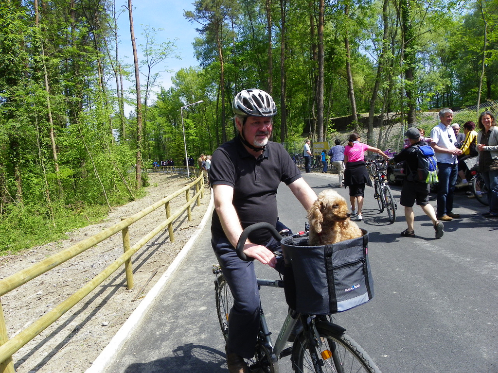 Bild 972_jpg-1311597725