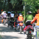 IMG_3388_JPG-1311597954