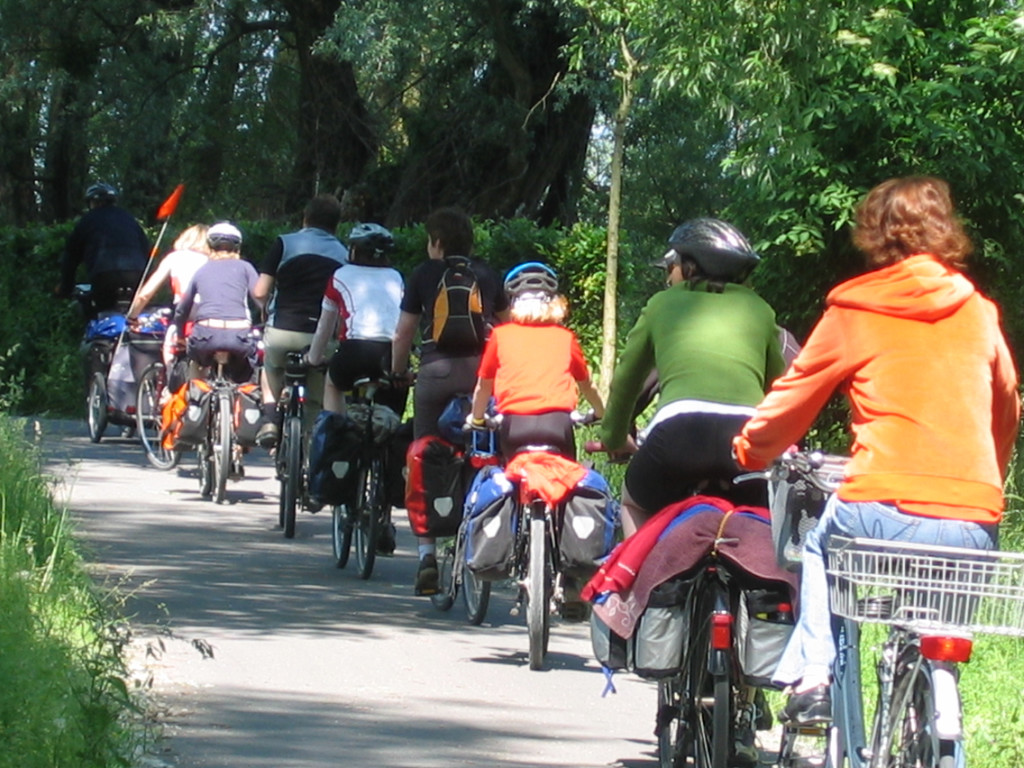 IMG_3388_JPG-1311597954