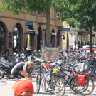 IMG_8660_JPG-1311597897