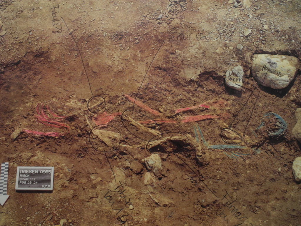 DSCN0352_JPG-1311598831