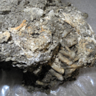 DSCN0365_JPG-1311598856