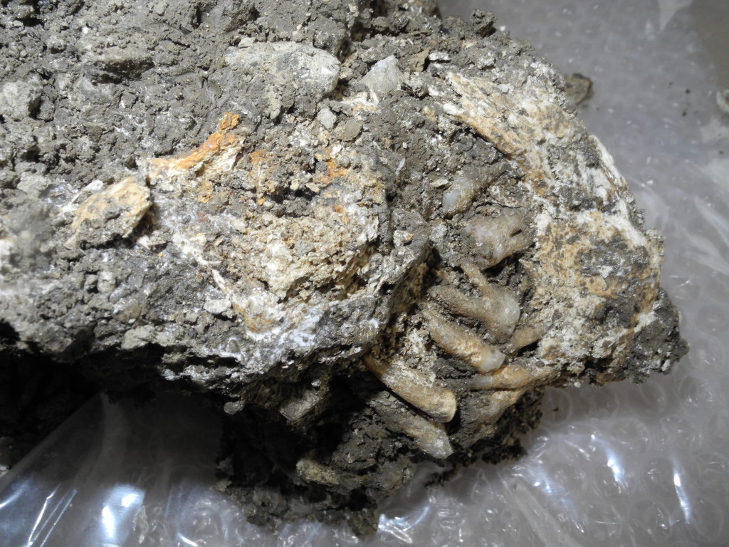 DSCN0365_JPG-1311598856