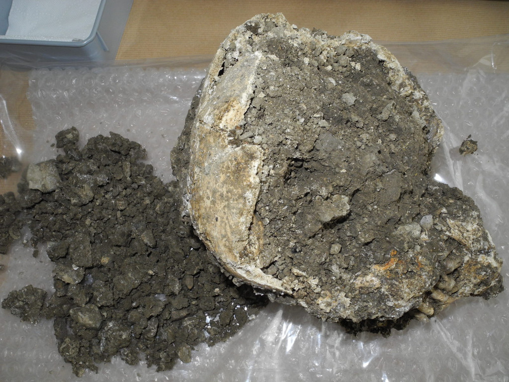 DSCN0368_JPG-1311598871