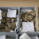 DSCN0374_JPG-1311598913