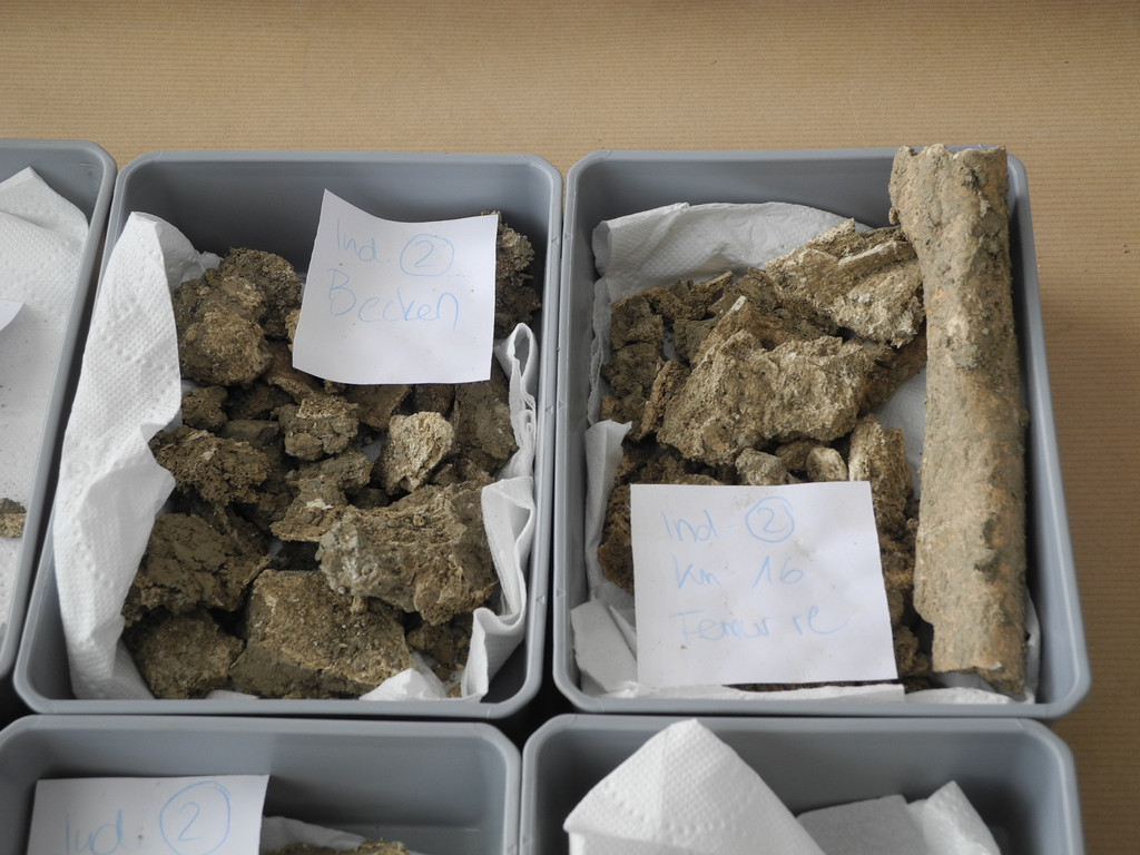 DSCN0374_JPG-1311598913