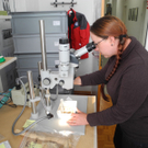 DSCN0378_JPG-1311598951