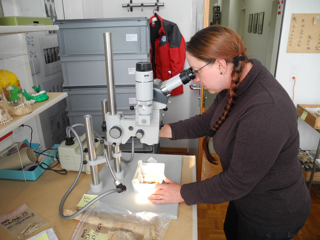 DSCN0378_JPG-1311598951