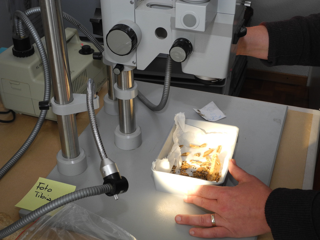 DSCN0379_JPG-1311598964