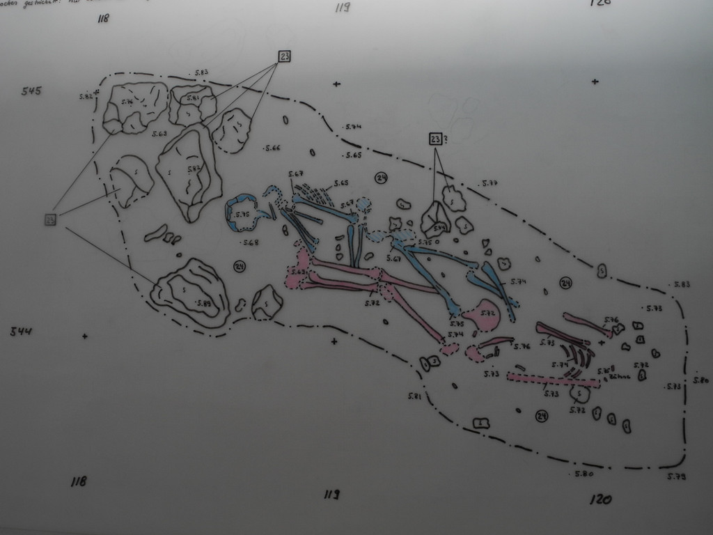 DSCN0381_JPG-1311598992