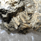 DSCN0370_JPG-1311598886