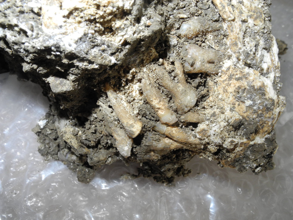 DSCN0370_JPG-1311598886