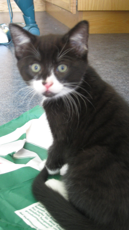 IMG_0881_JPG-1311616456