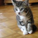 IMG_0882_JPG-1311616523