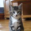 IMG_0883_JPG-1311616592