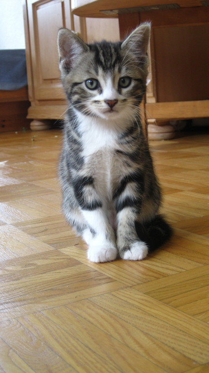 IMG_0883_JPG-1311616592