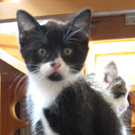 IMG_0887_JPG-1311616655