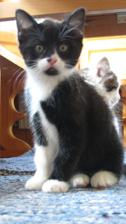 IMG_0887_JPG-1311616655