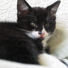 IMG_0897_JPG-1311616722