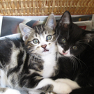 IMG_0934_JPG-1311616811