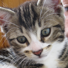 IMG_0948_JPG-1311616891