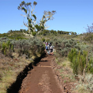 Bilder vom Kilimanjaro von Rudi Stangl