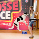 GrosseChance_04.jpg