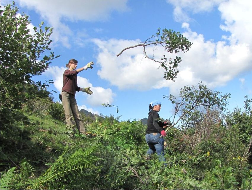 BWP_Bartholom__usalpe-Mareike und Heike_2.jpg