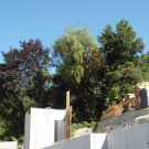 DSC06841.JPG