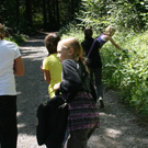 IMG_0051 - Kopie_JPG-1311799898