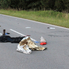 normal_27072011motorradcrashffmaktivnews_046.jpg
